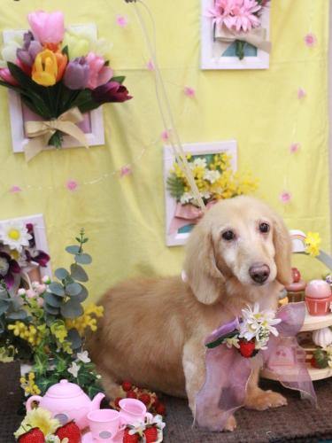 20230319ホクトくん